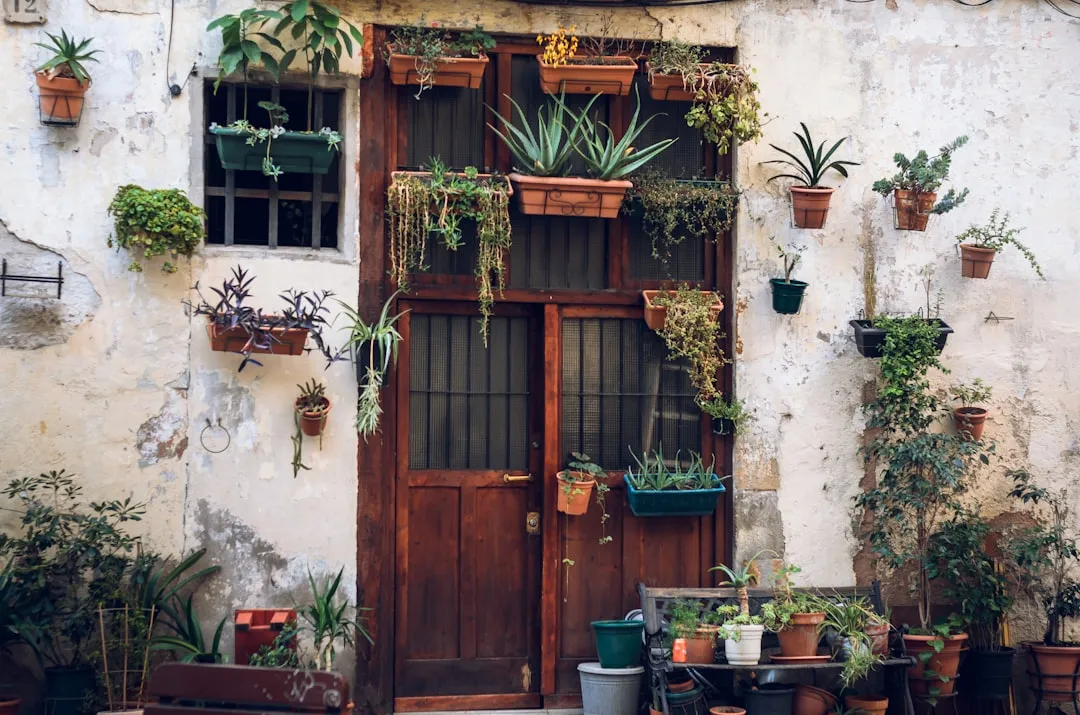 A charming wall adorned with various potted plants and flowers, showcasing a rustic wooden door and vibrant greenery.